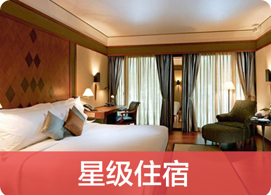 豪华公寓  酒店式服务  安全