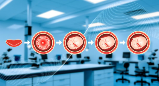 单身生育三代试管婴儿医院,2025推荐榜单
