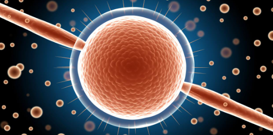 单身如何做三代试管婴儿呢,分步指导建议