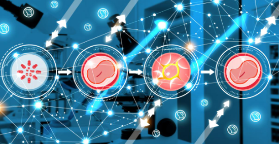 单身女性怎么做三代试管婴儿,分步指南