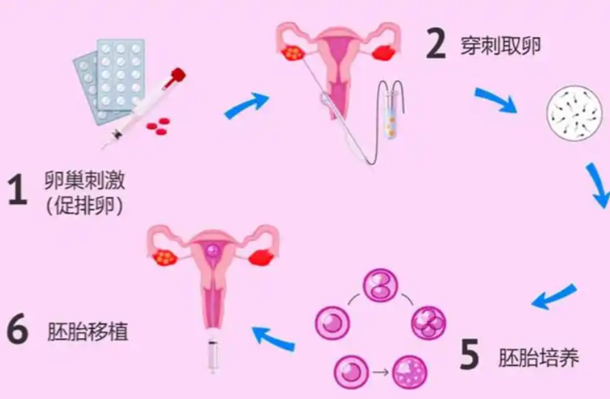 广州助孕新选择：三代试管婴儿技术为您定制孕育方案