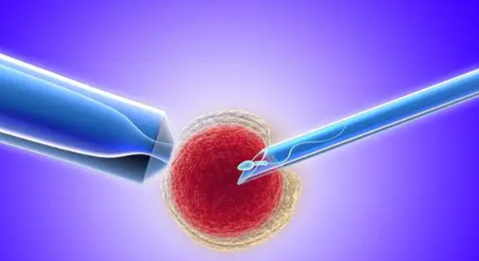 单身女性三代试管婴儿案例,成功经验分享