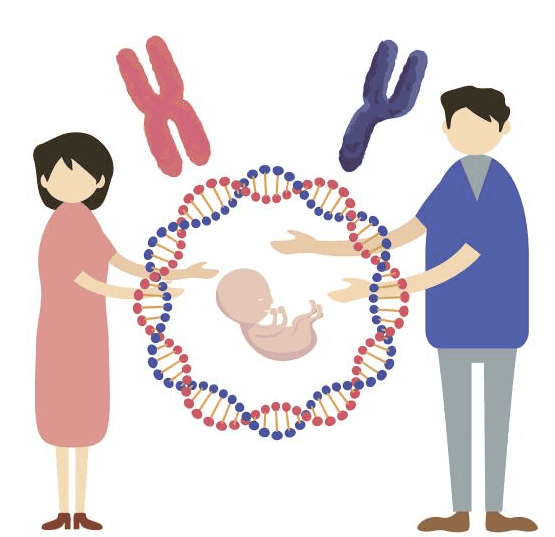 9号染色体倒位必须做试管吗？关键看这三种情况