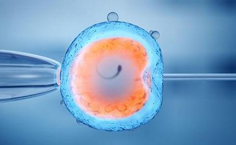 试管婴儿成年后的健康：已知、未知与理性看待